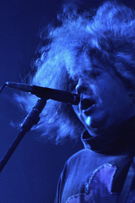 the Melvins